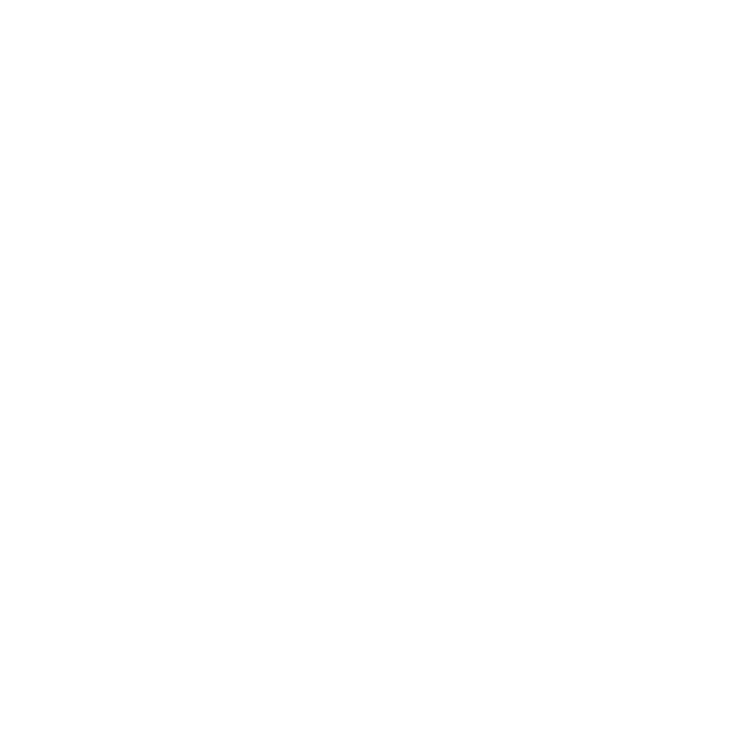 EPI Car